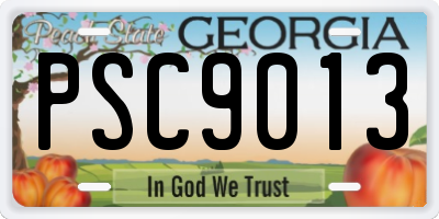 GA license plate PSC9013