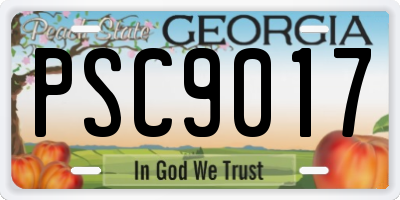 GA license plate PSC9017