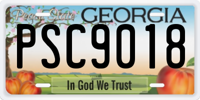 GA license plate PSC9018