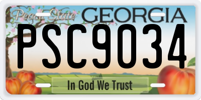GA license plate PSC9034