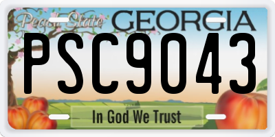 GA license plate PSC9043