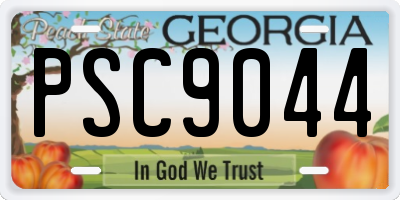 GA license plate PSC9044