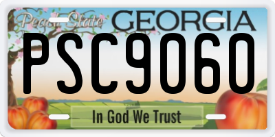 GA license plate PSC9060