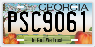 GA license plate PSC9061