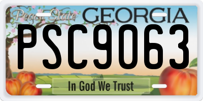 GA license plate PSC9063