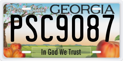 GA license plate PSC9087