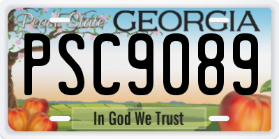 GA license plate PSC9089