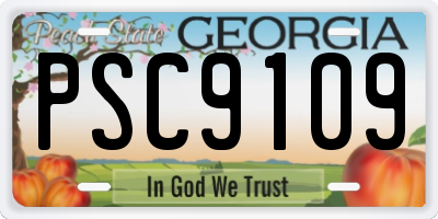 GA license plate PSC9109