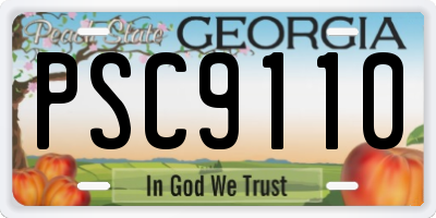 GA license plate PSC9110