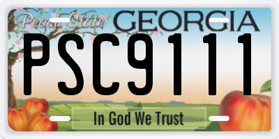 GA license plate PSC9111