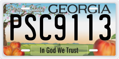 GA license plate PSC9113