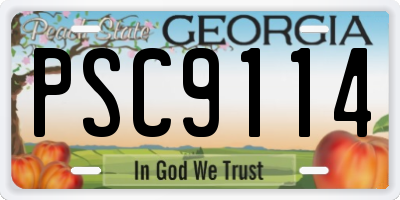 GA license plate PSC9114