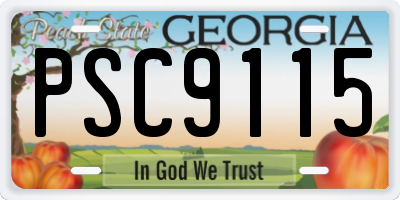 GA license plate PSC9115