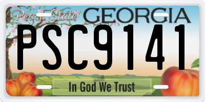 GA license plate PSC9141