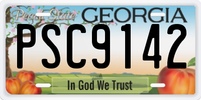 GA license plate PSC9142