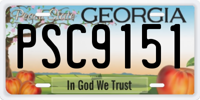 GA license plate PSC9151