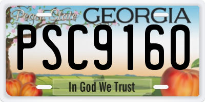 GA license plate PSC9160