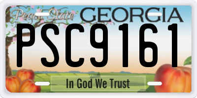 GA license plate PSC9161