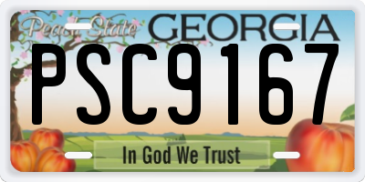 GA license plate PSC9167