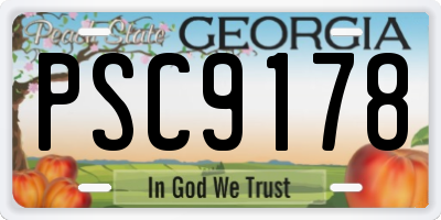 GA license plate PSC9178