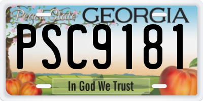 GA license plate PSC9181
