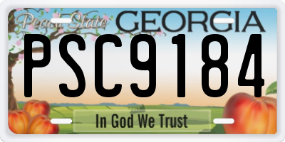 GA license plate PSC9184