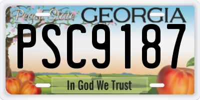 GA license plate PSC9187