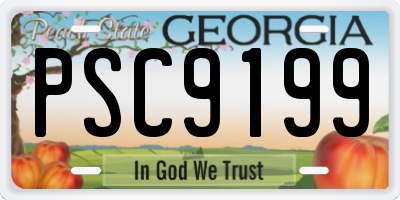 GA license plate PSC9199