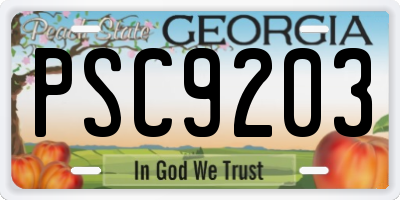 GA license plate PSC9203