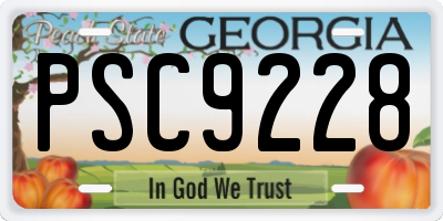 GA license plate PSC9228