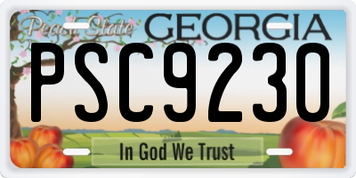 GA license plate PSC9230