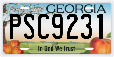 GA license plate PSC9231