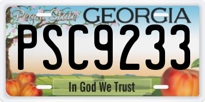 GA license plate PSC9233