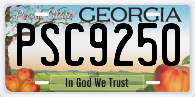 GA license plate PSC9250