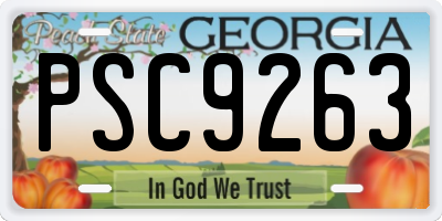 GA license plate PSC9263