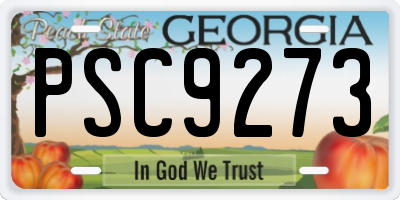 GA license plate PSC9273