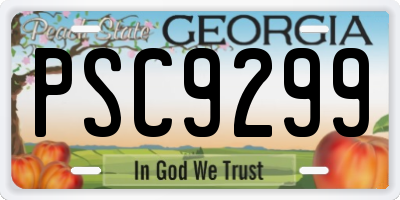 GA license plate PSC9299