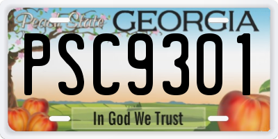GA license plate PSC9301