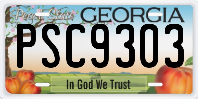 GA license plate PSC9303