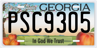 GA license plate PSC9305