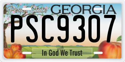 GA license plate PSC9307