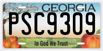 GA license plate PSC9309