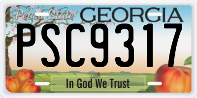 GA license plate PSC9317