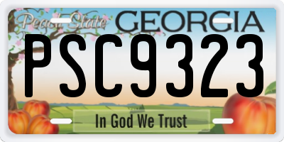 GA license plate PSC9323