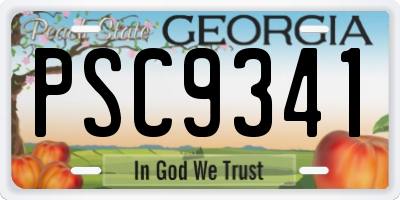 GA license plate PSC9341