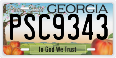 GA license plate PSC9343
