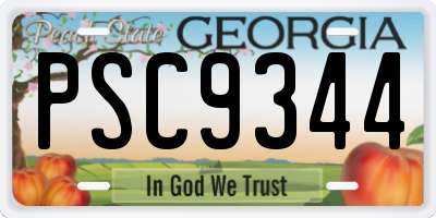 GA license plate PSC9344