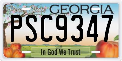 GA license plate PSC9347