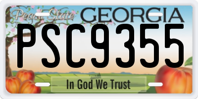 GA license plate PSC9355