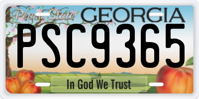 GA license plate PSC9365